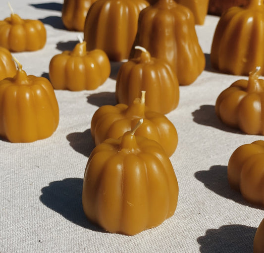Tiny Pumpkin Candle